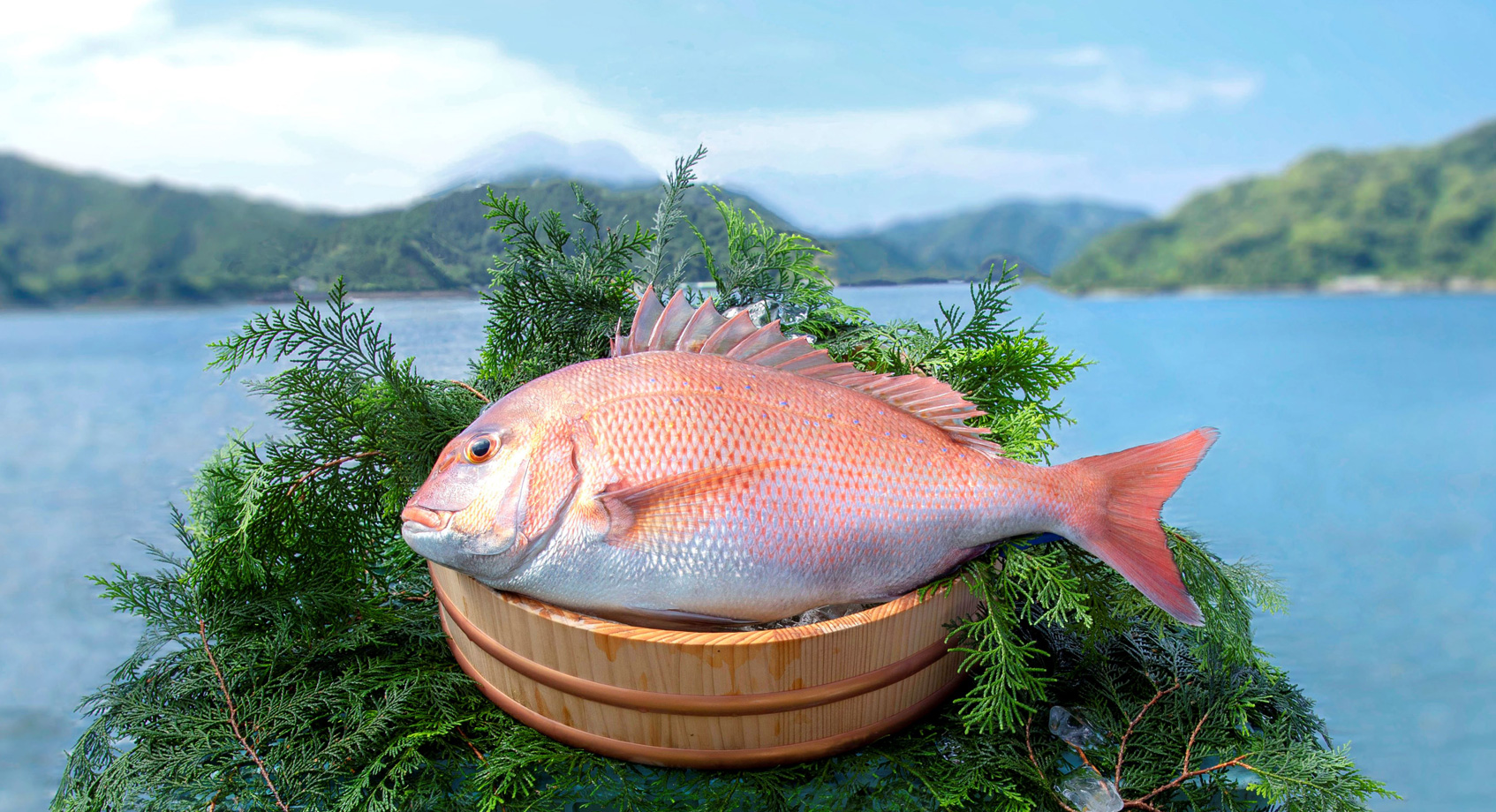 養殖魚販売イメージ写真